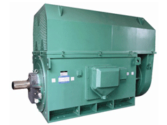YJTFKK4504-6Y系列6KV高压电机
